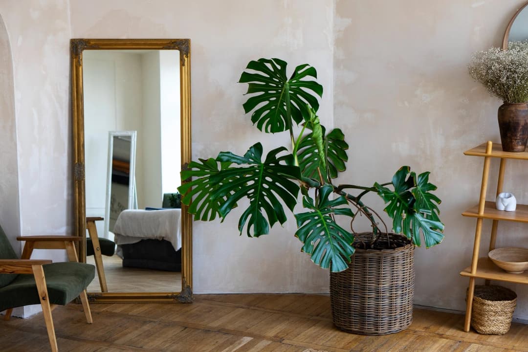home decor ideas for small homes