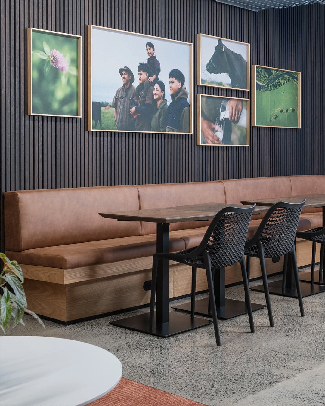 Fonterra Hamilton Office